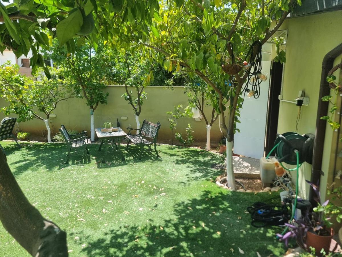 B&B Amit 18 Minutes From The Airport - אירוח כפרי עמית 18 דקות משדה תעופה Petach Tikva المظهر الخارجي الصورة